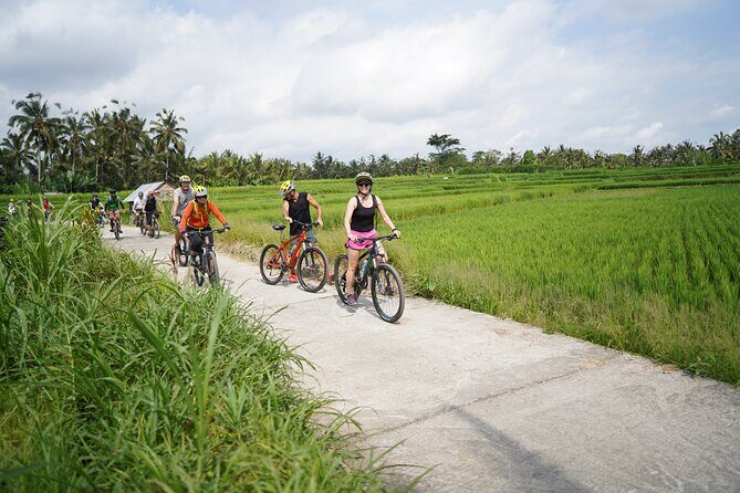 Explore Ubud with Electric Bike - Final Thoughts