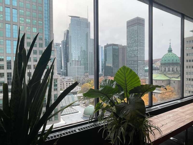 Explore Underground city & Downtown. Great tour to stay warm - The Sum Up: A Smart, Authentic, and Practical Montreal Tour