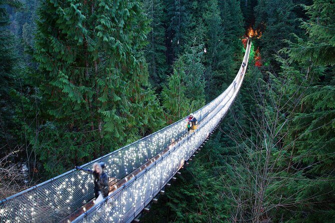 Explore Vancouver City & Capilano Suspension Bridge Canyon Lights - Downtown Vancouver Highlights