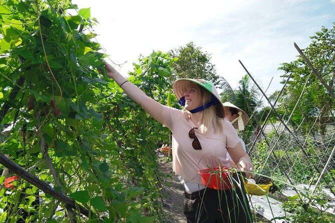 Explore Vietnamese Cuisine: Cooking Class from Ho Chi Minh City - The Value of This Experience