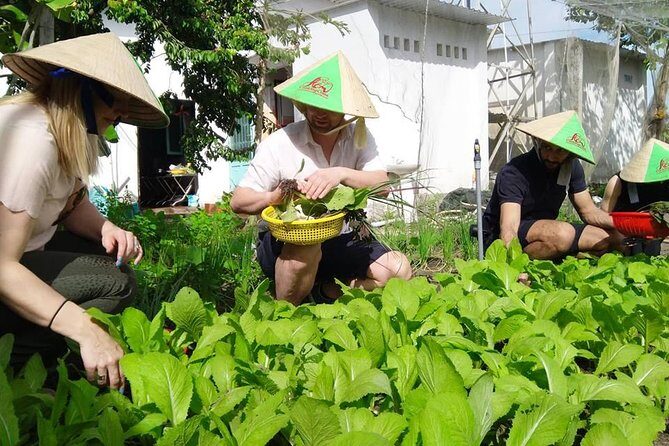 Explore Vietnamese Cuisine: Cooking Class from Ho Chi Minh City - The Sum Up