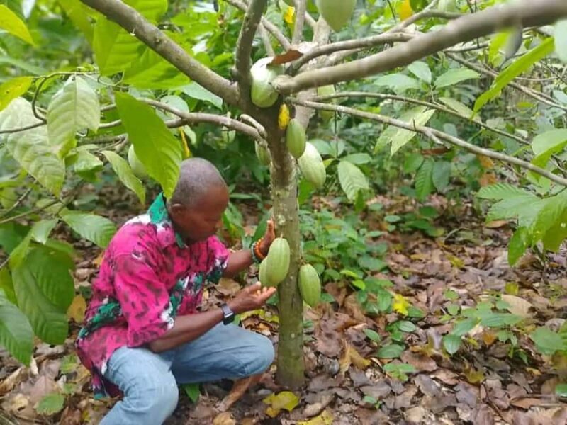 Explore Volta Region - The Itinerary Breakdown: What to Expect