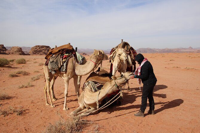 Explore Wadi Rum Desert with Camel Ride Experience with Stay - Authenticity and Scenic Highlights
