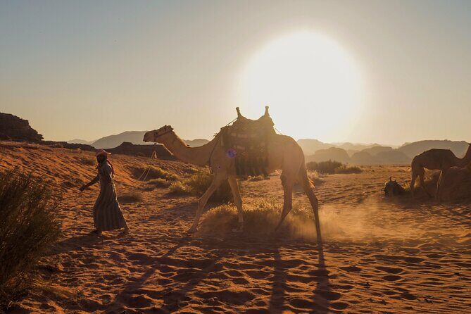 Explore Wadi Rum Desert with Camel Ride Experience with Stay - Practical Tips for Travelers