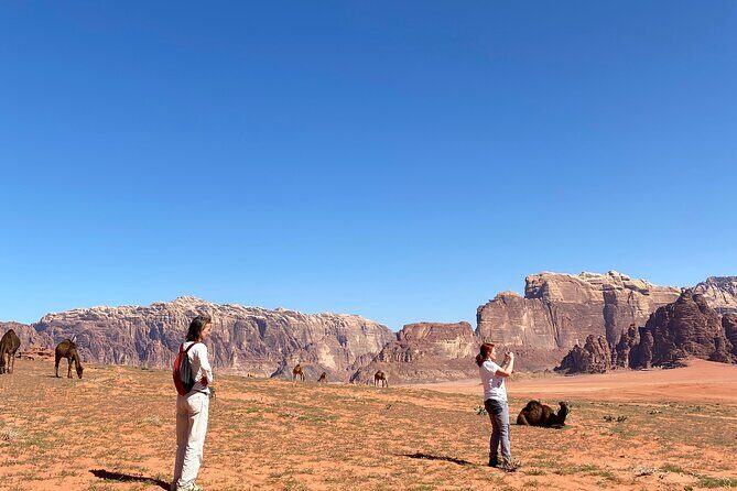 Explore Wadi Rum: Jeep Tour, Bed and Breakfast, and Dinner - What Travelers Are Saying