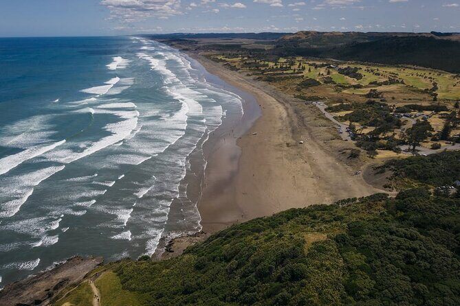 Explore West Auckland with Winery - Authentic Experiences and Honest Feedback