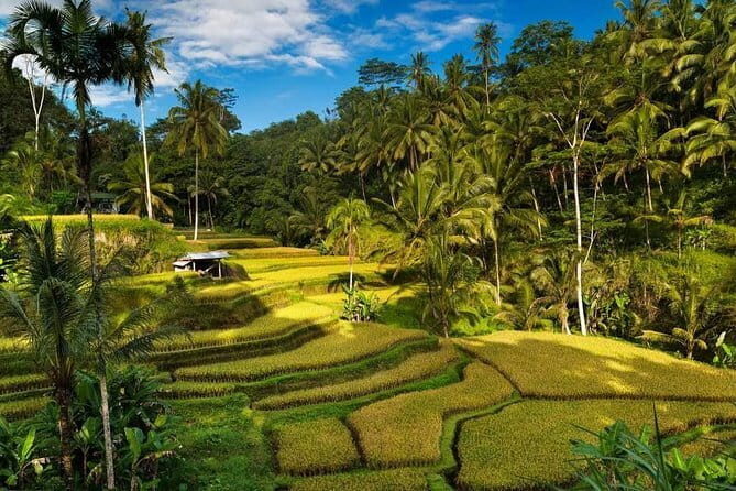 Exploring Bali in 3 Days: Discover Top Places in Bali - Exploring Bali in 3 Days: Discover Top Places in Bali