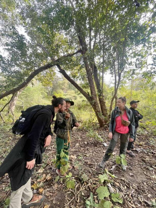 Exploring Don Village & Yok Don National Park - An In-Depth Look at the Experience