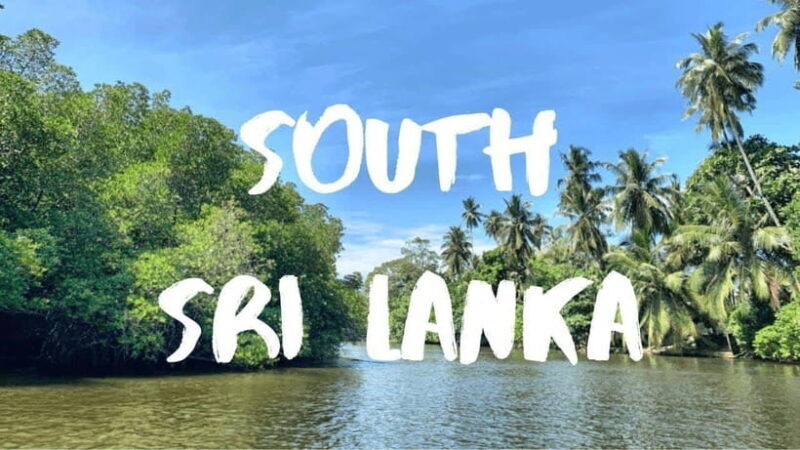 Exploring : Galle, Madu River & Turtle Hatchery Adventure - Who Will Love This Tour?
