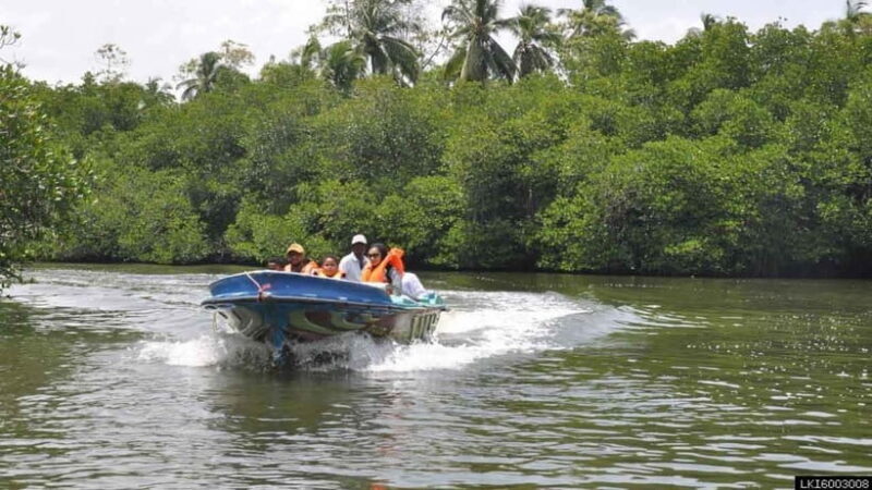 Exploring : Galle, Madu River & Turtle Hatchery Adventure - The Sum Up