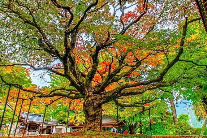 Exploring Hakata: Temples Shrines and Scenic Treasures - FAQs