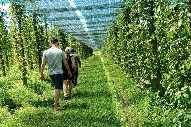 Exploring Kampot: A Memorable Tour from Sihanoukville - Key Points