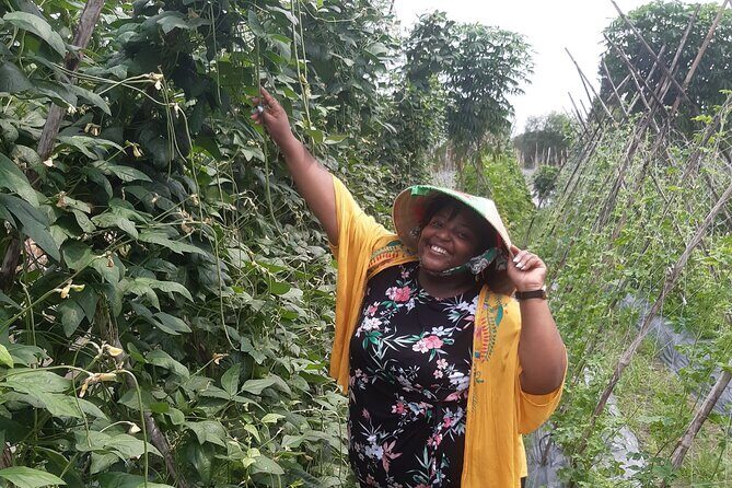 Exploring organic farm & Vietnamese Culinary with Master chef - Who Will Love This Tour?