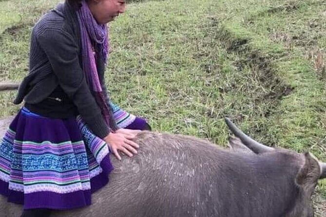 Exploring Sapa Eco Adventure with local host - The Overall Experience and Who Will Enjoy It