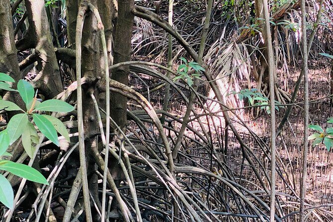 Exploring Singapores Forgotten Hills - The Itinerary in Detail