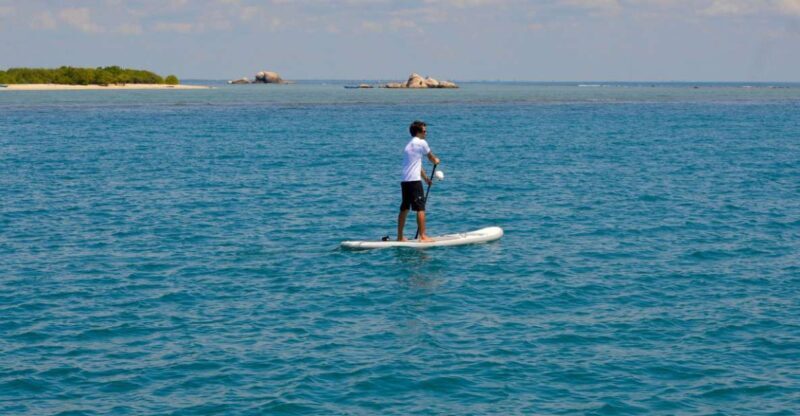 Exploring the Eastern Coast: A Week of Beaches and Reefs - What Makes This Tour Stand Out?