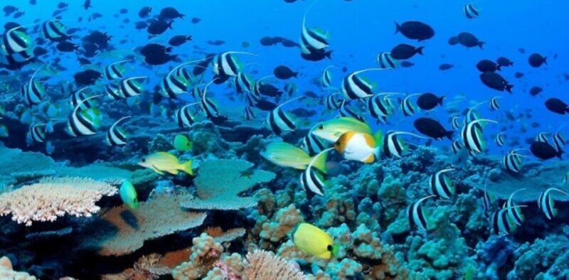 Exploring the Eastern Coast: A Week of Beaches and Reefs - Final Thoughts: Is It Worth It?