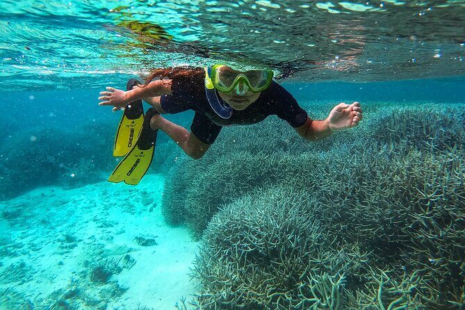 Exploring the Magnificent East of Mauritius: Full-day incl Blue Bay Marine Park - An Overview of This Full-Day Adventure