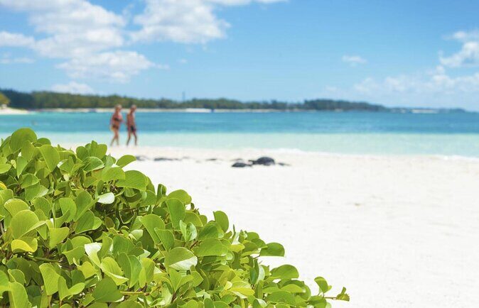 Exploring the Magnificent East of Mauritius: Full-day incl Blue Bay Marine Park - Evaluating the Experience