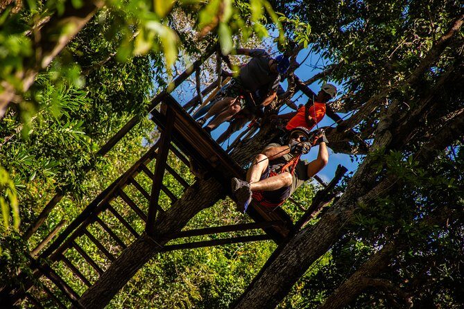 Extraordinary Combo ATV Shared Cenote & Zipline in Puerto Morelos - Authentic Experiences and Traveler Feedback
