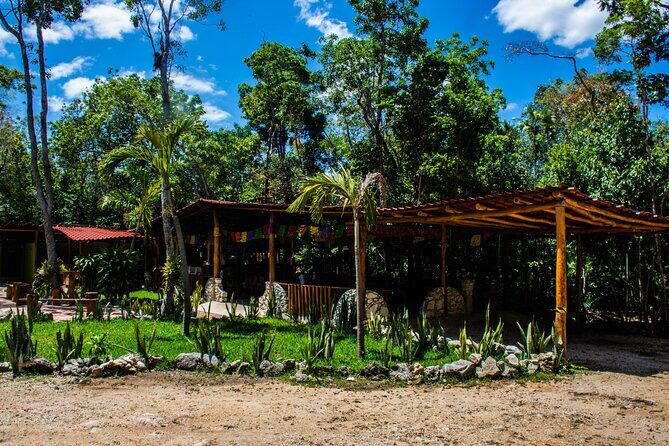 Extraordinary Combo ATV Shared Cenote & Zipline in Puerto Morelos - Final Thoughts