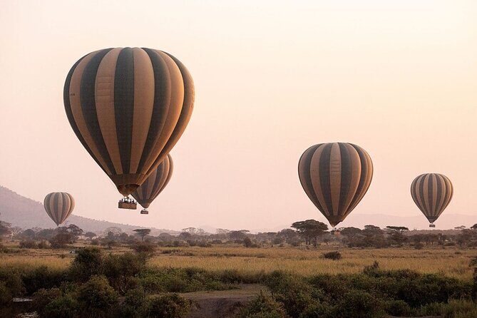 Extraordinary Hot air Bolloon ride in Serengeti | BURIGI CHATO SAFARIS CO L.T.D - FAQs