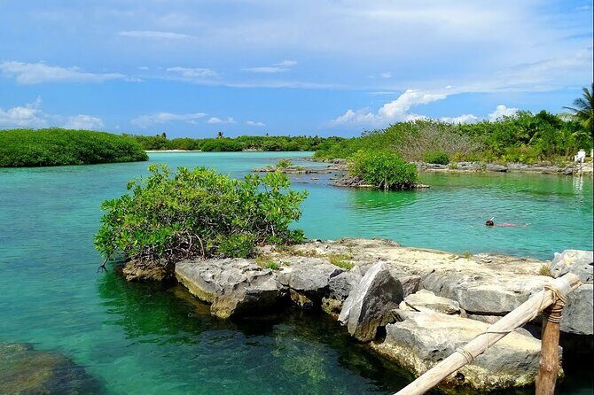 Extreme Day. Rappel, Ziplines & Snorkel with from Riviera Maya - Frequently Asked Questions