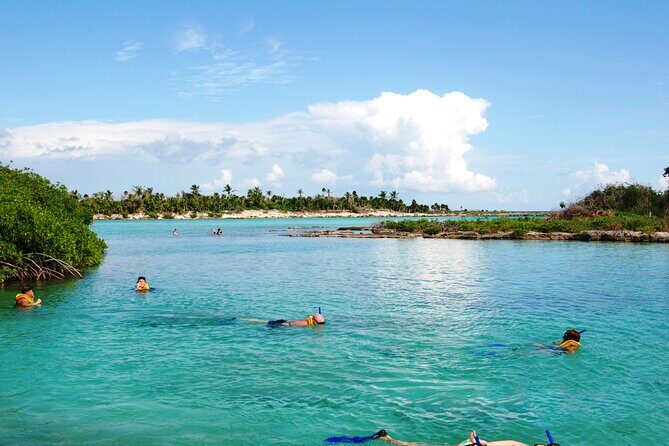 Extreme Day. Rappel, Ziplines & Snorkel with from Riviera Maya - Final Words