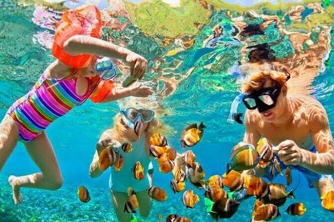 Extreme day trip 7×1 in Sharm el SHEIKH - An In-Depth Look at the Adventure