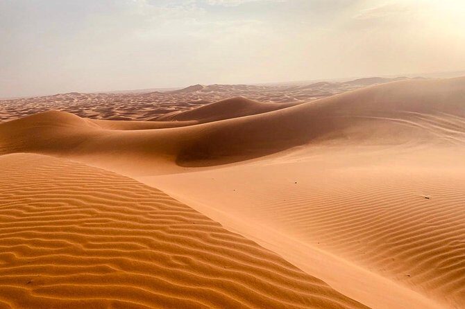 Extreme Desert Safari Evening with Dinner - Key Points