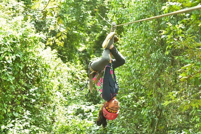 Extreme Horses Adventure with ATV, Ziplines & Cenote - The Sum Up