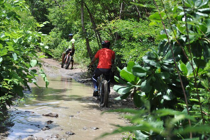 Extreme Outback Tour in St Lucia - An In-Depth Look at the Tour Itinerary