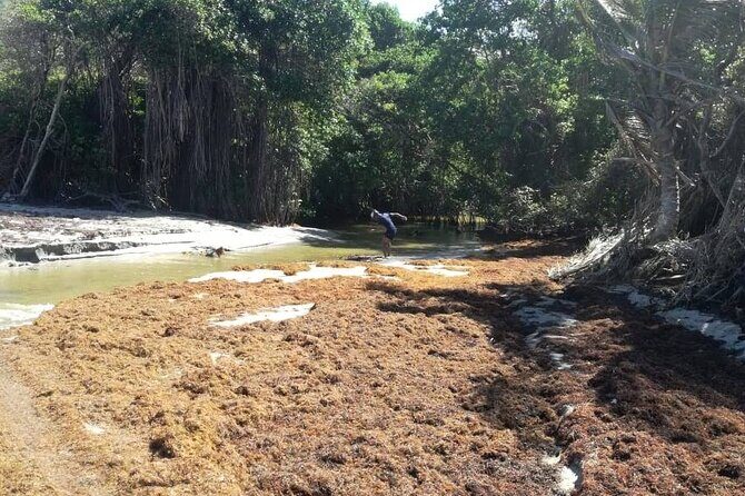 Extreme Outback Tour in St Lucia - Is It Worth the Price?