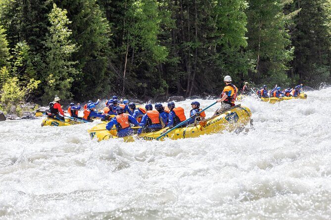 Extreme Whitewater Rafting on Kicking Horse River - Who Will Love This Tour?