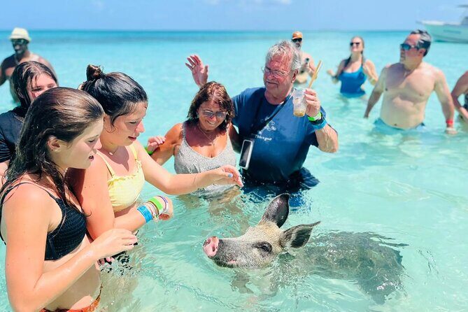 Exuma Day Away - Original Swimming Pigs Excursion - Key Points
