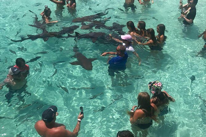 Exuma Day Away - Original Swimming Pigs Excursion - Who Would Love This Tour?