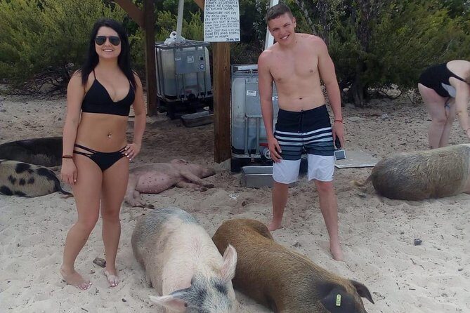 Exuma Day Away - Original Swimming Pigs Excursion - Final Thoughts