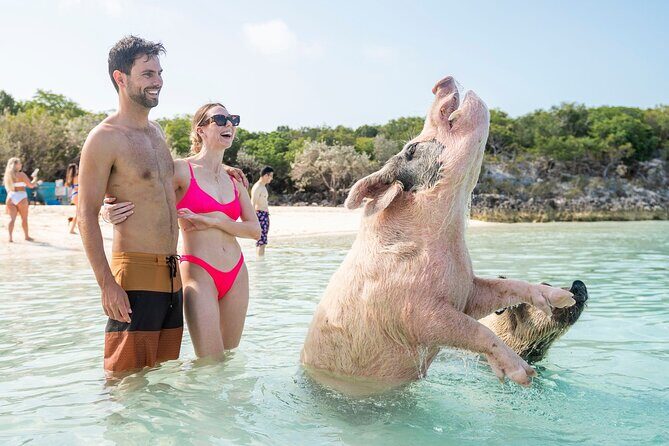 Exuma Elite Escape: Luxury Fly-In Pig Beach Adventure - 7 Stops - A Complete Look at the Exuma Elite Escape Tour