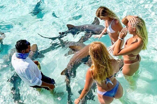 Exuma Full Day Swimming Pigs Group Boat Tour - The Journey Begins: What to Expect from the Itinerary