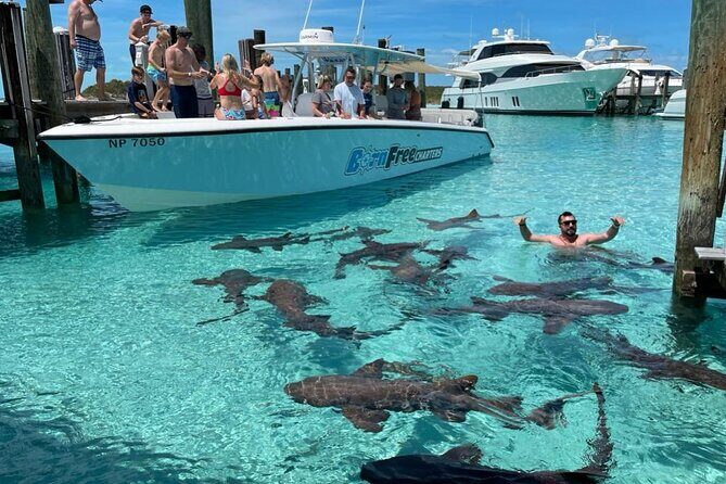Exuma Island Hopping Swimming Pigs Tour with Lunch from Nassau - Key Points