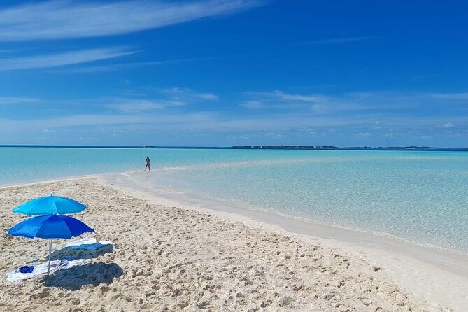 Exuma Island Hopping Swimming Pigs Tour with Lunch from Nassau - FAQ