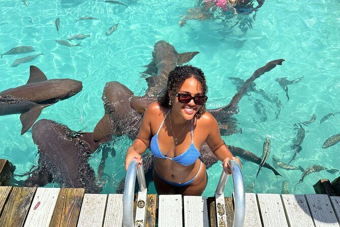 Exuma Powerboat Tour from Nassau with Swimming Pigs - An Introduction to the Tour Experience