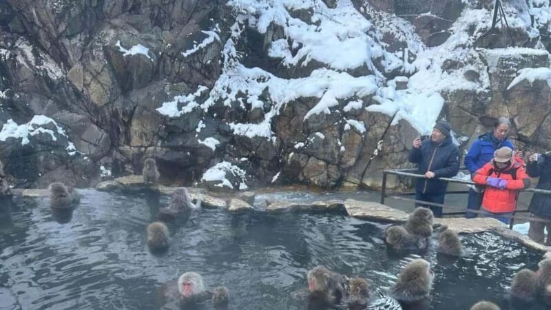 F: Tokyo:Nagano snow monkey/Zenko Ji temple private day tour - Introduction: Exploring Japan’s Unique Heritage in One Day