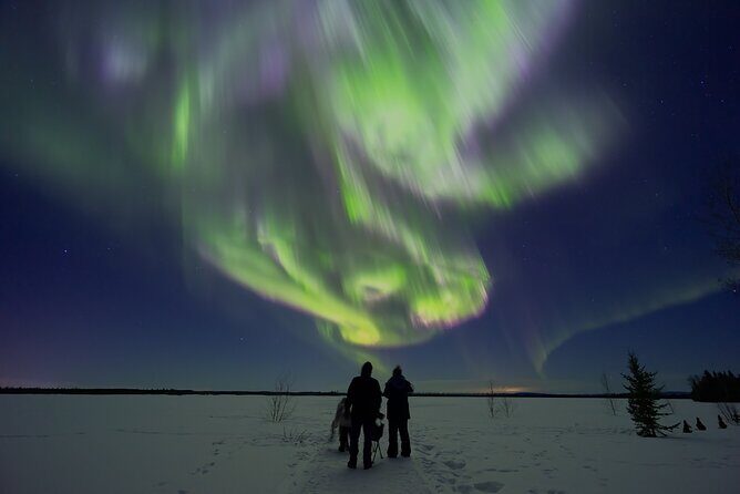 Face The Outdoors Northern Lights Tour Small Group - Key Points