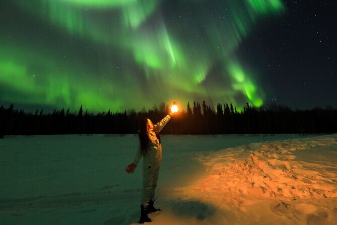 Fairbanks Aurora Borealis Night Tour - The Cost and Value