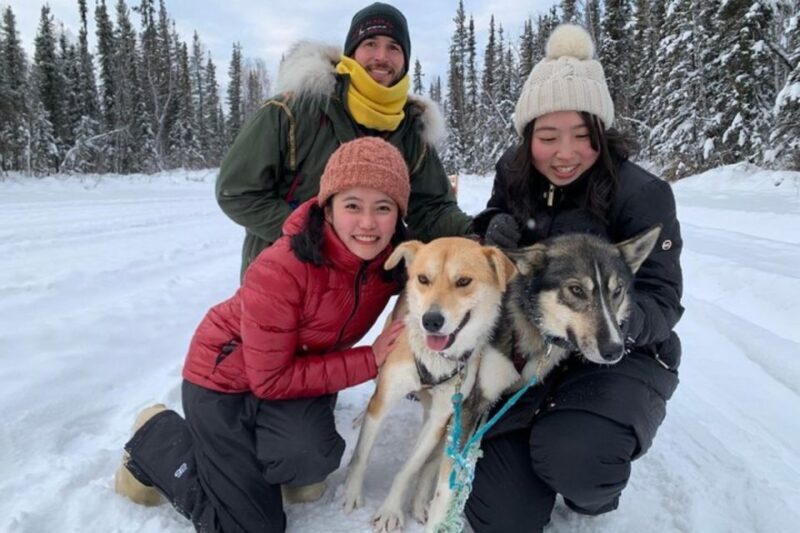 Fairbanks: Dog Sledding and Mushing Experience - Introduction: A Genuine Alaskan Adventure