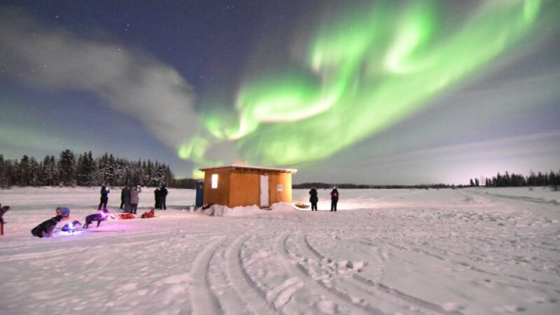 Fairbanks: Dog Sledding and Mushing Experience - The Authentic, Heartfelt Experience