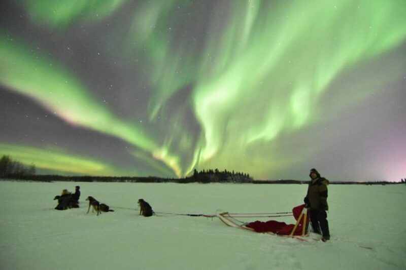 Fairbanks: Dog Sledding and Mushing Experience - Who Should Skip This?