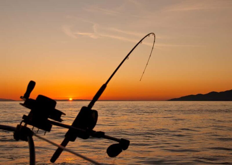 Fairbanks: Half-Day Fishing Trip with Hotel Pickup - Introduction: The Appeal of a Guided Fairbanks Fishing Trip