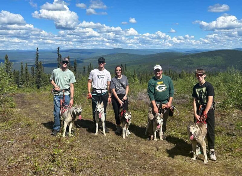 Fairbanks: Husky Hiking Tour - Key Points